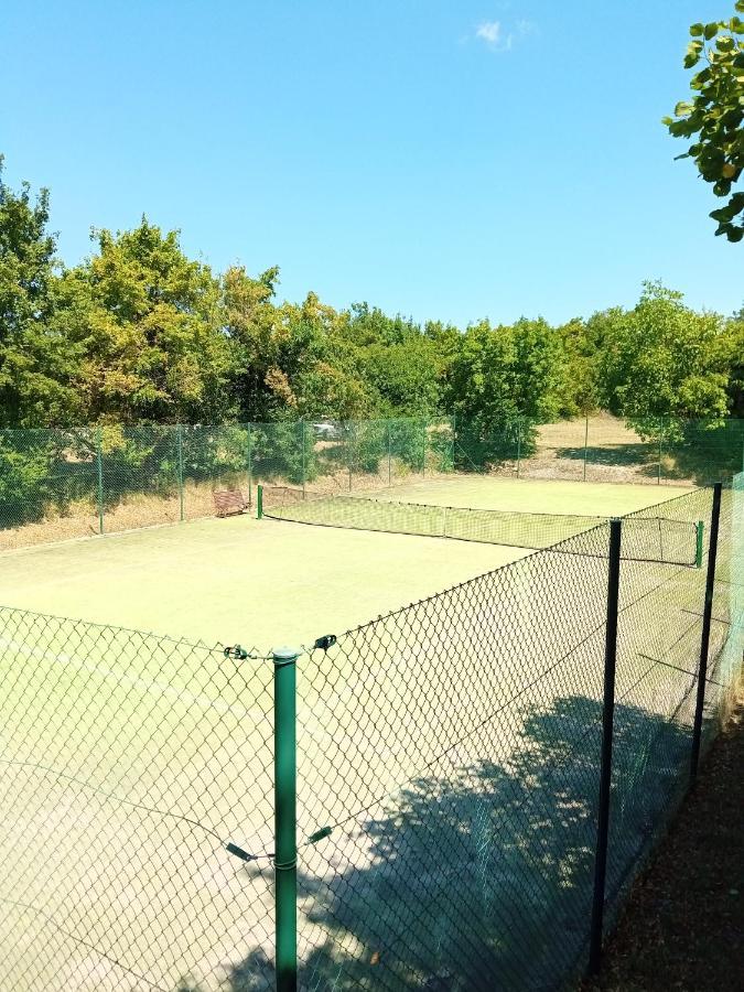 Sežana Castle House Rooms, Swimming Pool & Sauna & Tennis Court & Wine Cellar المظهر الخارجي الصورة